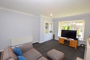 Lounge- click for photo gallery